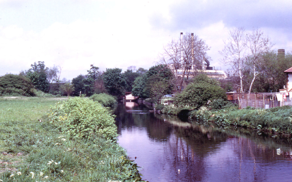 River Wandle above Liberty's, Merton, London SW 19. From Windsor Avenue.