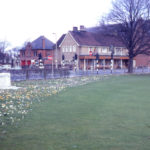 Corner of Cricket Green, Mitcham, Surrey CR4. Tom Ruff memorial and crocuses. the Vestry Hall in background.
