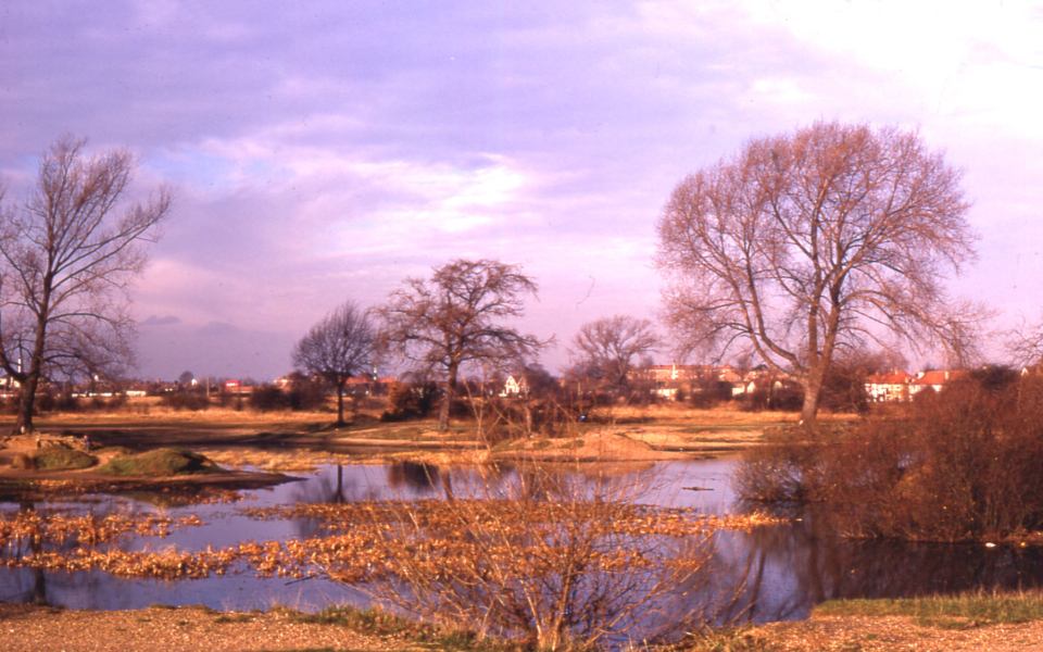 Seven Islands Pond, Mitcham Common, Mitcham, Surrey CR4. 