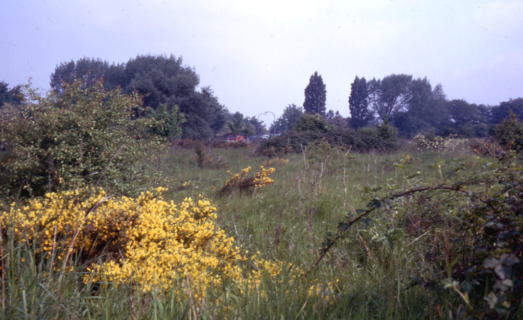 Former gunsite near Croydon Road, Mitcham Common, Mitcham, Surrey CR4.