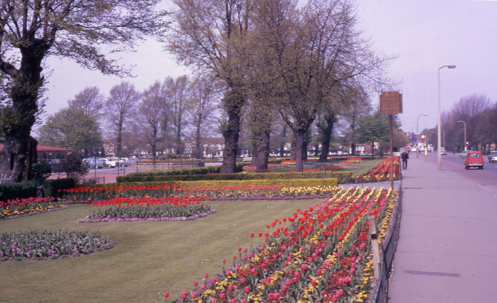 Flower beds at edge of Recreation Ground, Figges Marsh, Mitcham, Surrey CR4. Elms stood in common boundary hedge. felled in 1973. Site of Tamworth Farm.