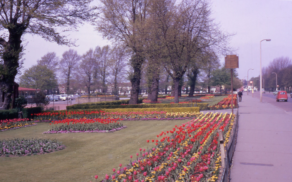 Flower beds at edge of Recreation Ground, Figges Marsh, Mitcham, Surrey CR4. Elms stood in common boundary hedge. felled in 1973. Site of Tamworth Farm. 