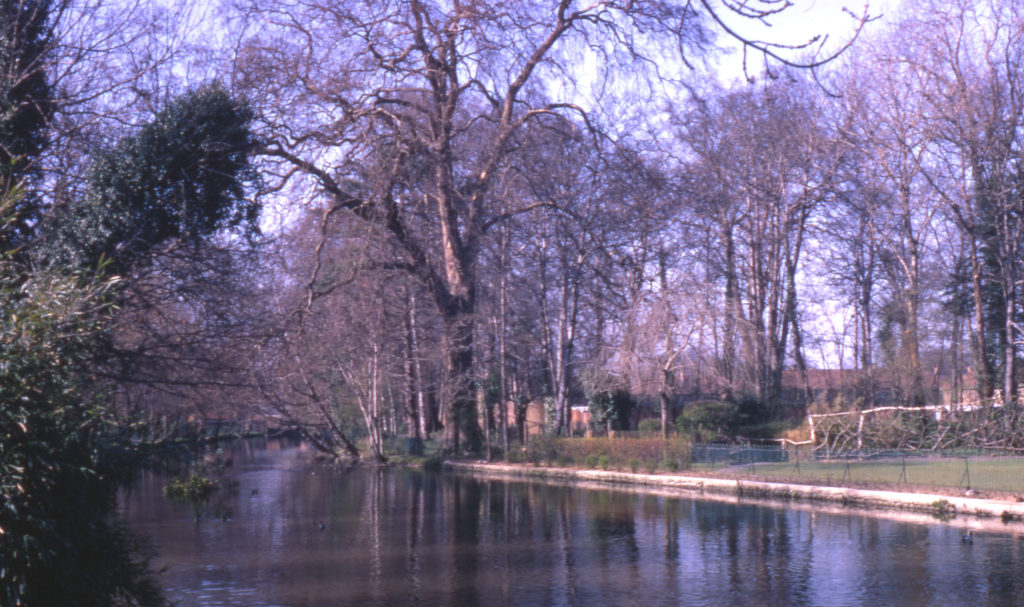 River Wandle in Ravensbury Park, Mitcham, Surrey CR4. Site of Ravensbury Manor House.