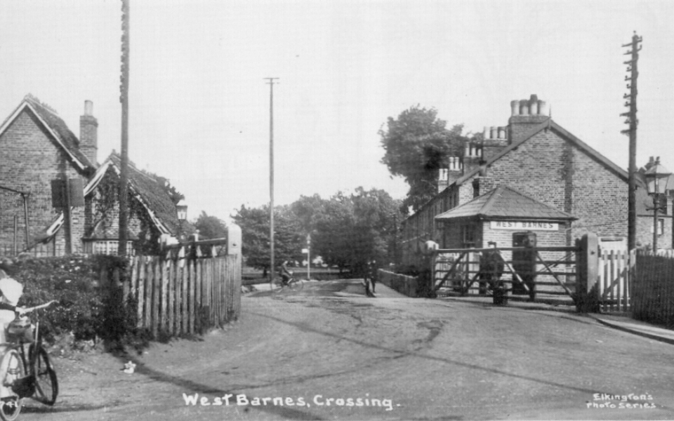 West Barnes Level Crossing. Undated postcard.